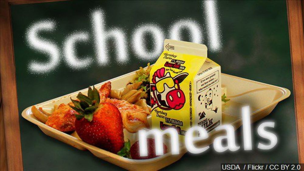 Updated Meal Survey